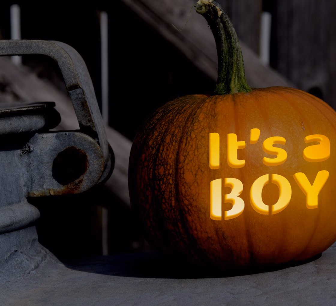 Baby Announcement pumpkin carving stencil, view 3